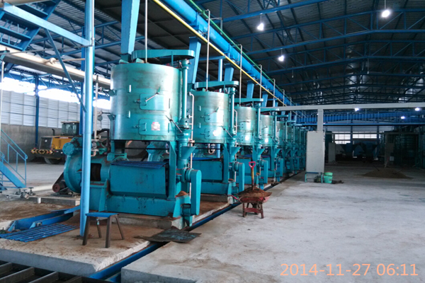 machine de traitement du moulin à huile de palme /machine à huile de palme pressée par expulseur