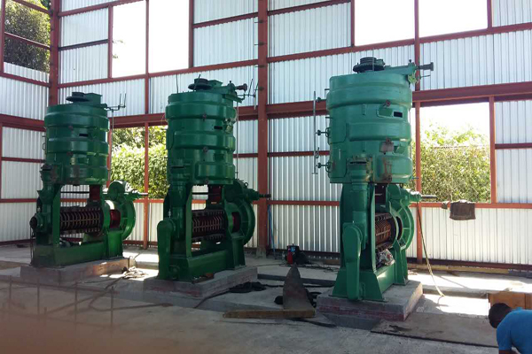 machine de traitement de presse à huile de palmiste prix usine en france