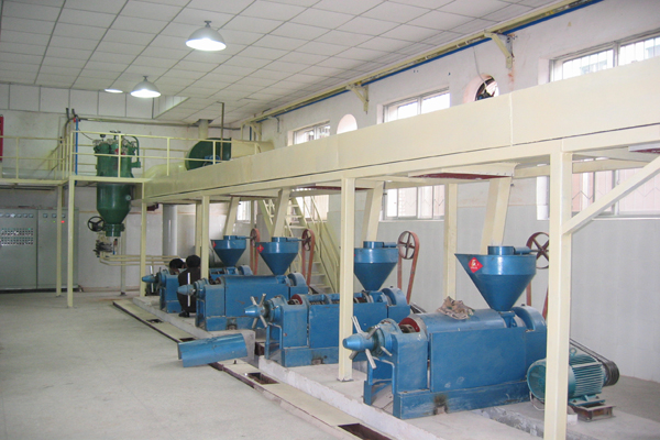 extracteur automatique de presse à huile de tournesol